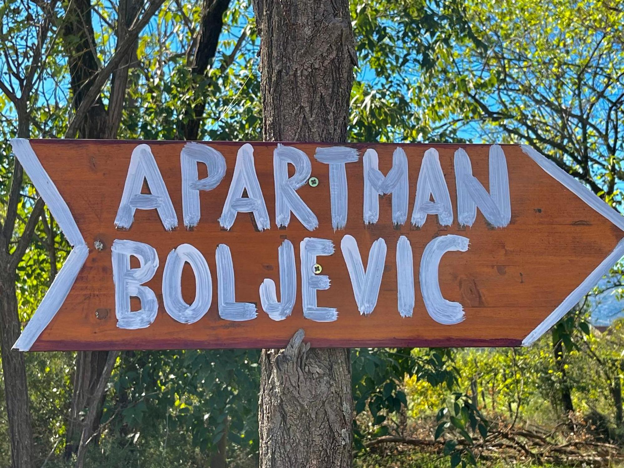 Apartman Boljevic Podgorica Exterior foto